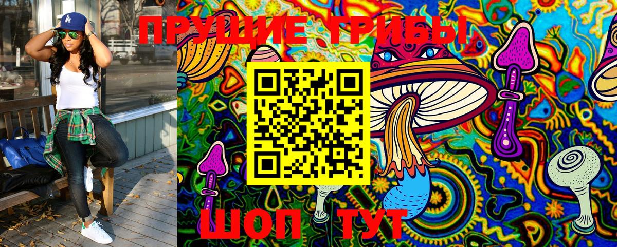 Псилоцибиновые грибы GOLDEN TEACHER  купить закладку  Майкоп  Вход с VPN 